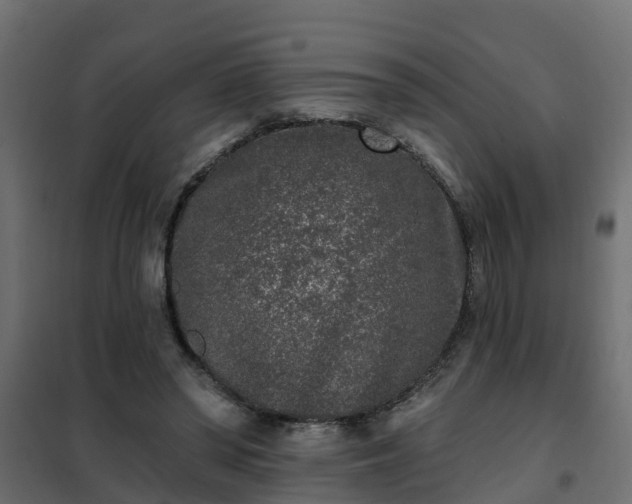 X0000102350398200808081159