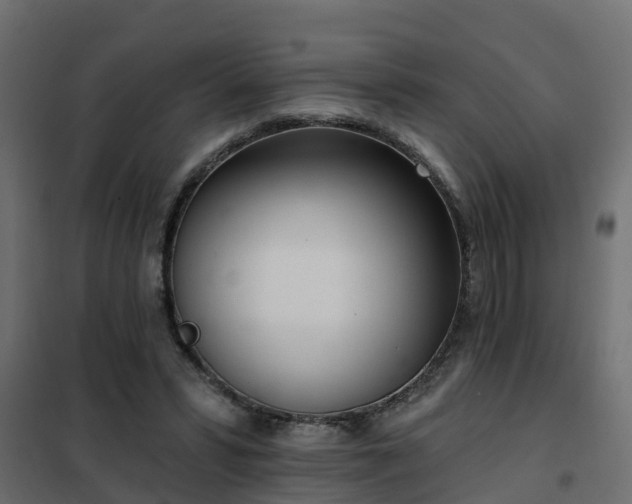 X0000102350399200808081159