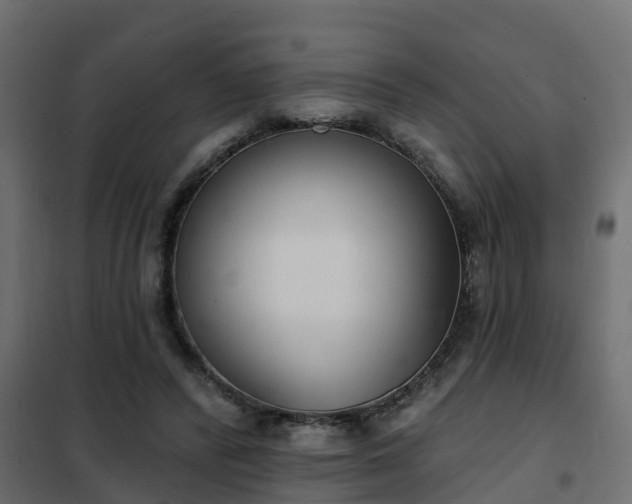 X0000102350400200808081159