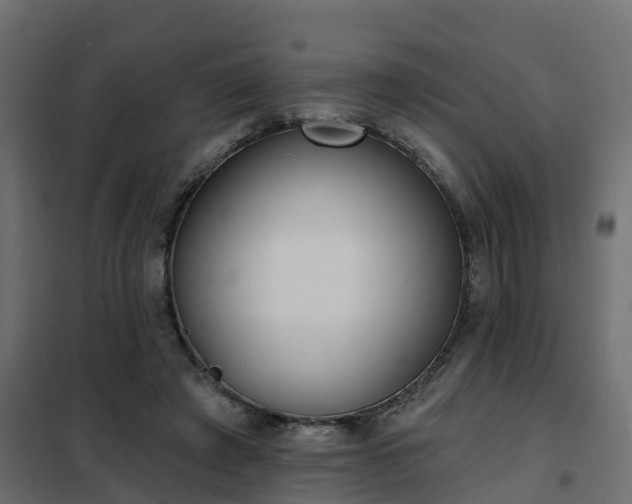 X0000102350401200808081159