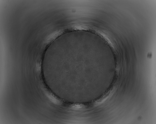 X0000102350402200808081159