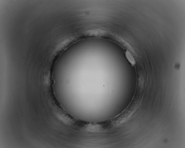 X0000102350403200808081159