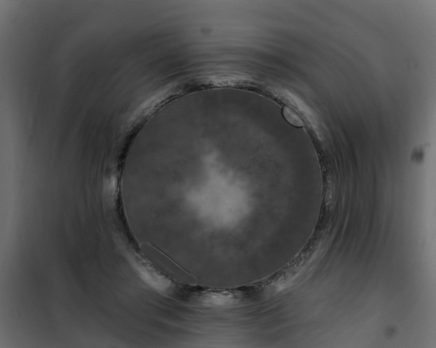 X0000102350405200808081159