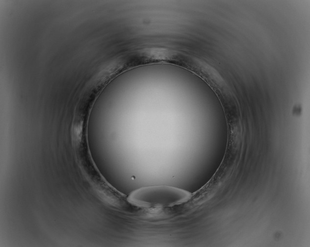 X0000102350406200808081159