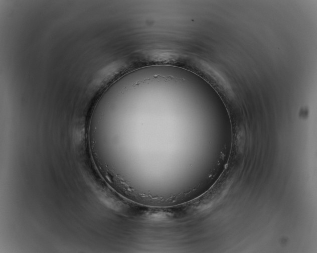 X0000102350407200808081159