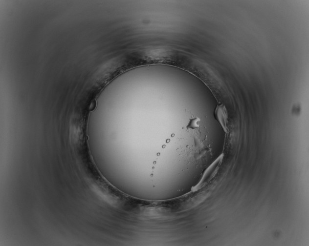 X0000102350408200808081159