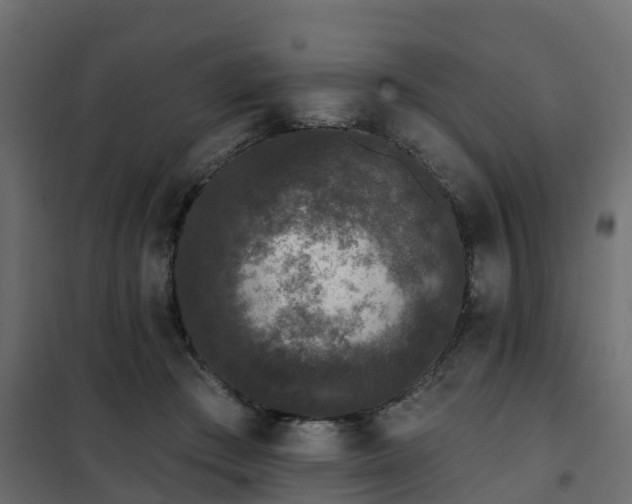 X0000102350409200808081159