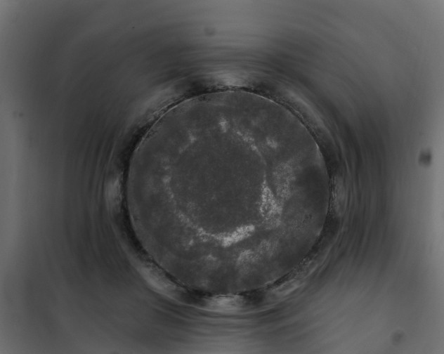 X0000102350410200808081159