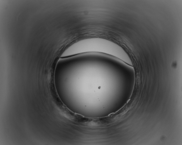 X0000102350412200808081159