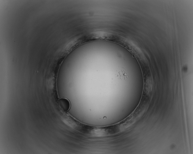 X0000102350413200808081159