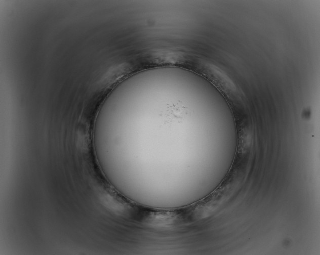 X0000102350414200808081159