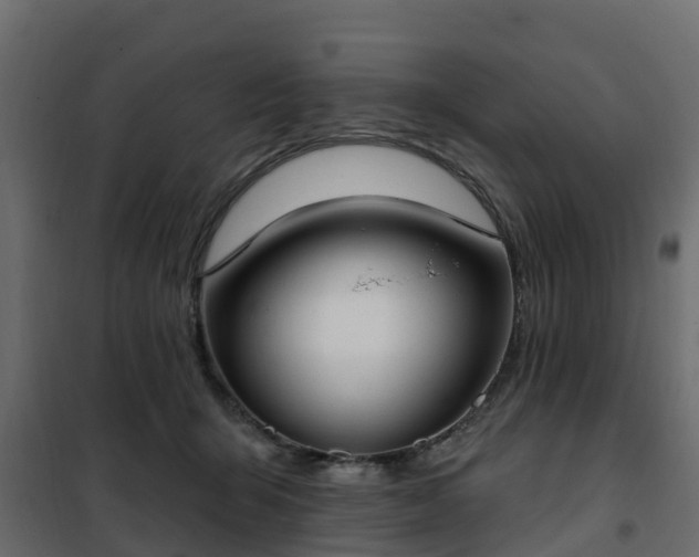 X0000102350415200808081159