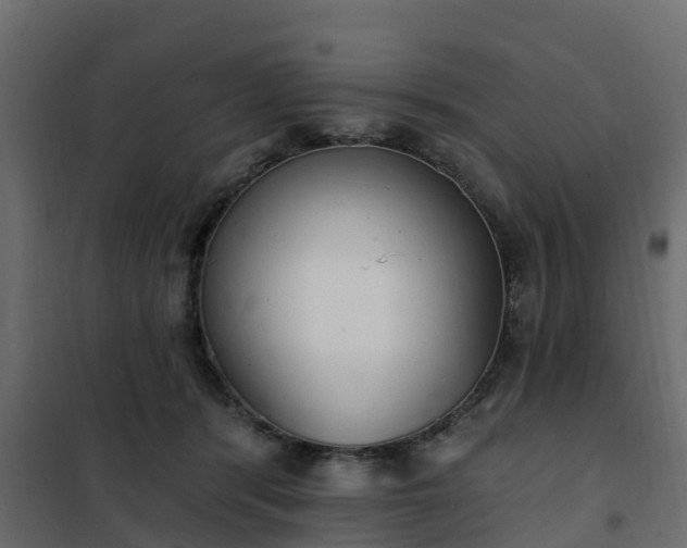 X0000102350416200808081159