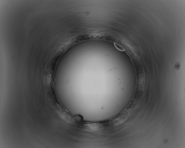 X0000102350417200808081159