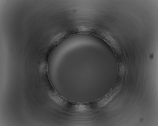 X0000102350419200808081159