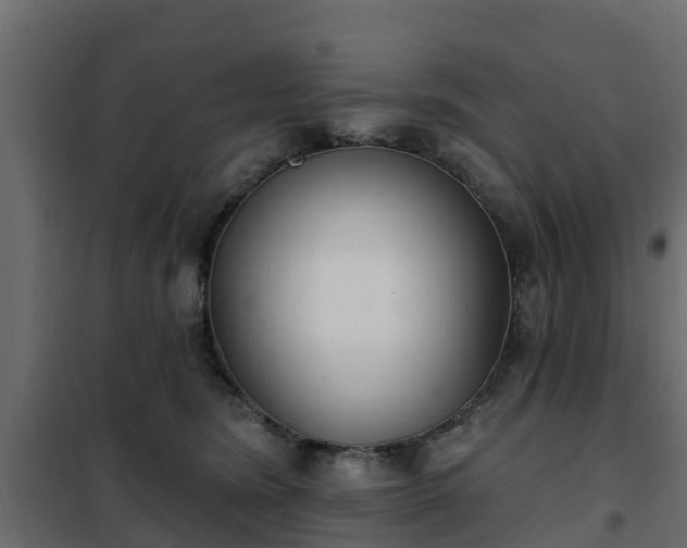 X0000102350420200808081159