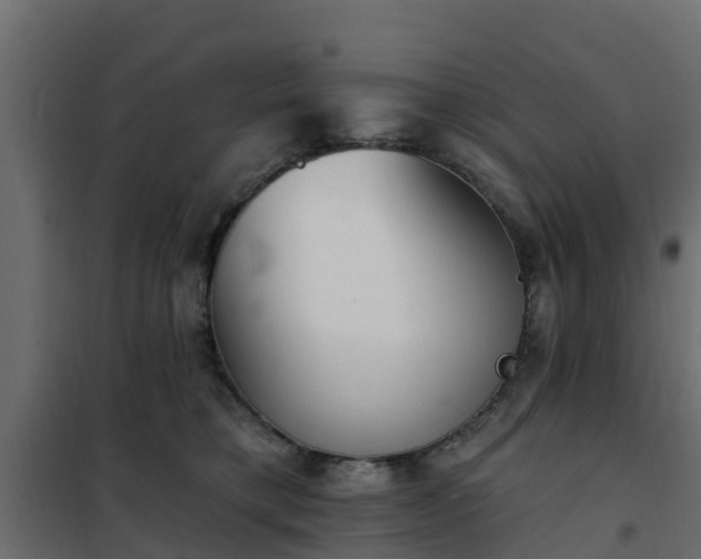 X0000102350421200808081159