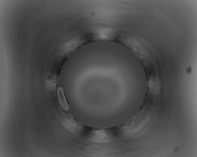 X0000102350423200808081159