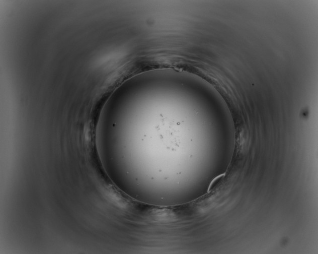 X0000102350424200808081159