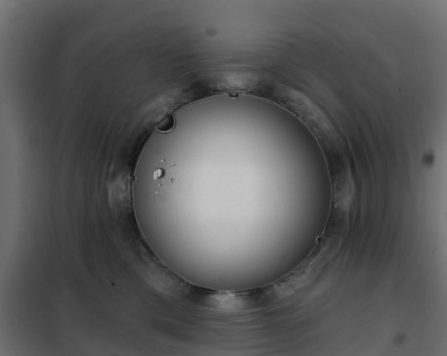 X0000102350425200808081159