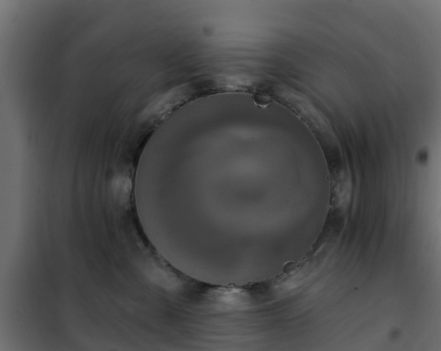 X0000102350427200808081159