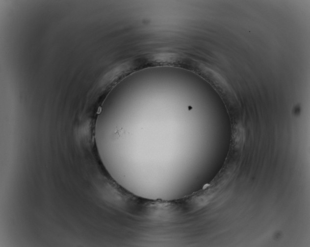 X0000102350428200808081159