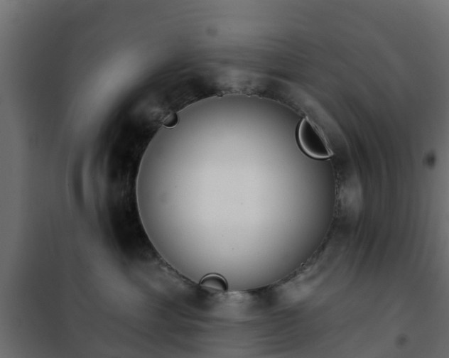 X0000102350429200808081159