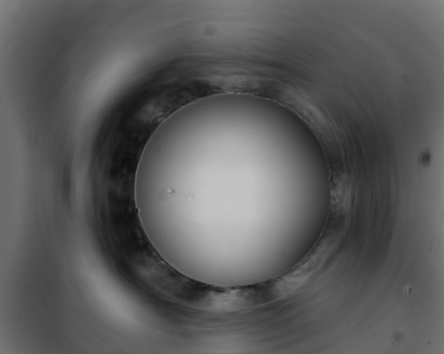 X0000102350430200808081159