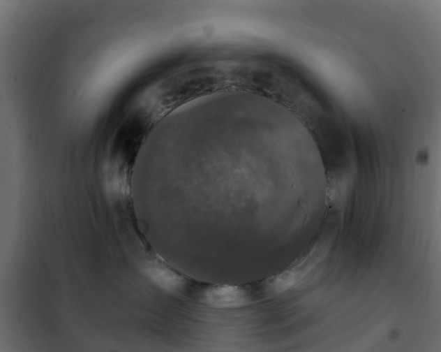 X0000102350431200808081159