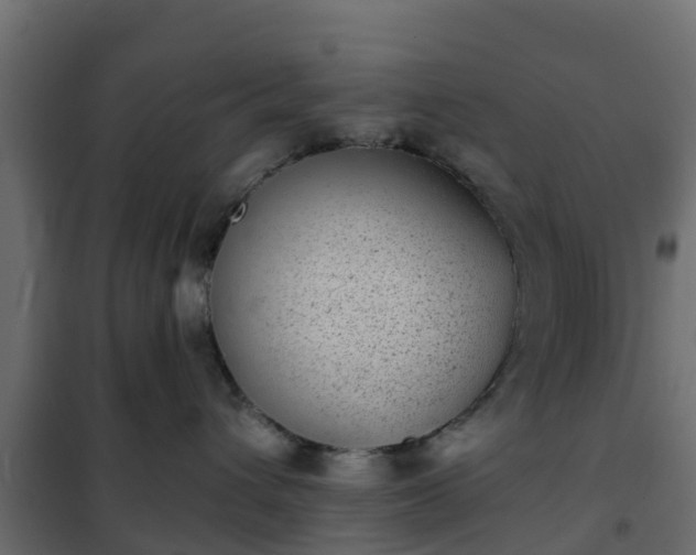 X0000102350432200808081158