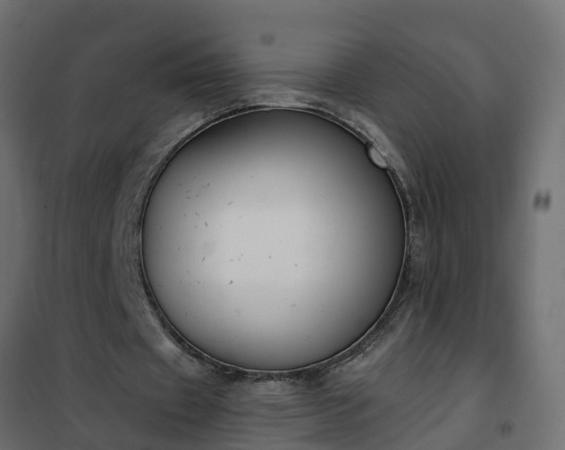 X0000102350433200808081158