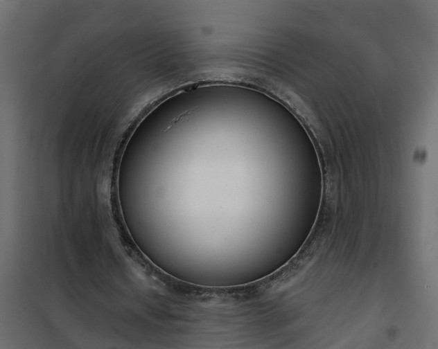 X0000102350434200808081158