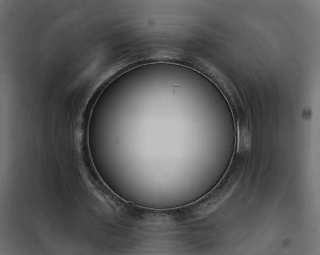 X0000102350435200808081158