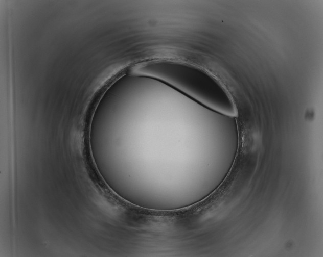 X0000102350436200808081158