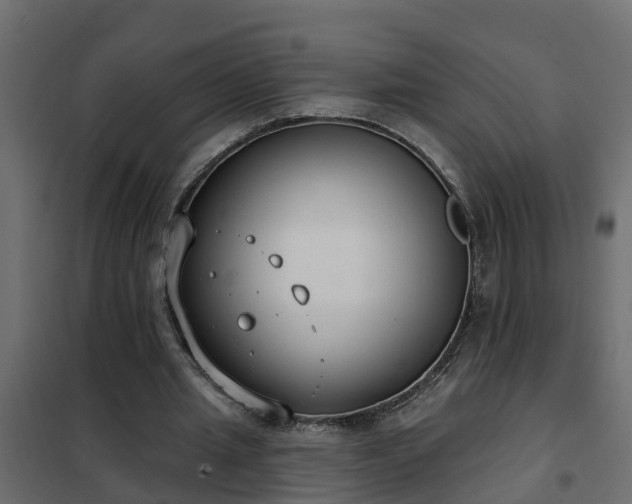 X0000102350437200808081158