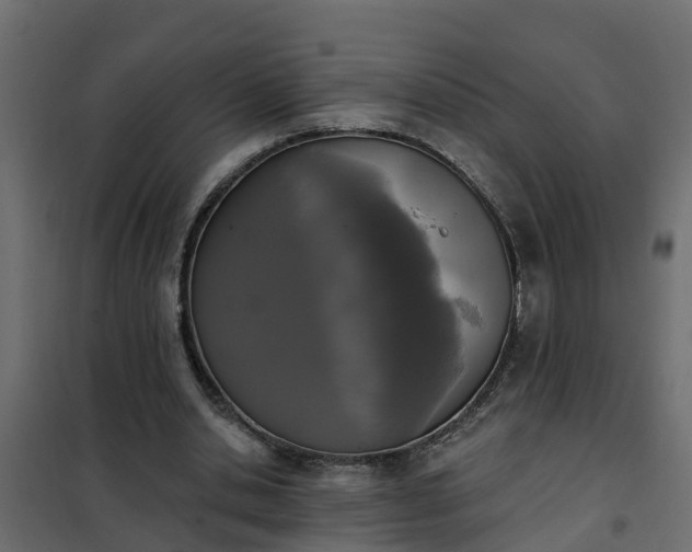 X0000102350438200808081158