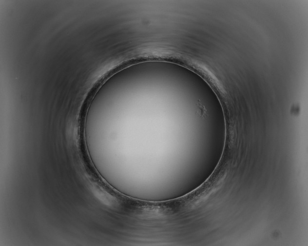 X0000102350439200808081158