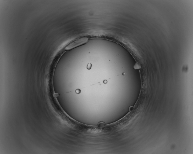 X0000102350440200808081158