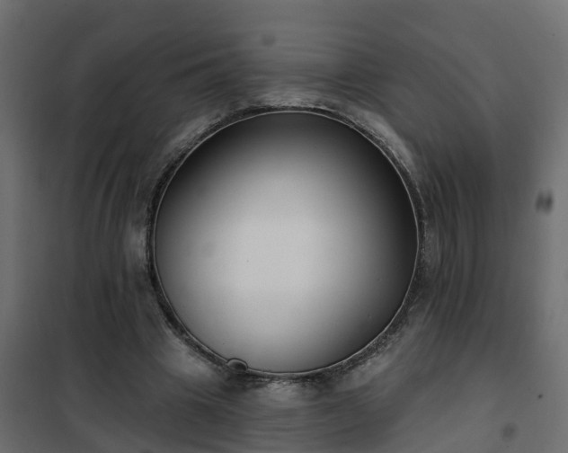 X0000102350441200808081158