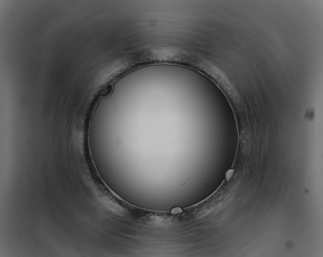 X0000102350442200808081158