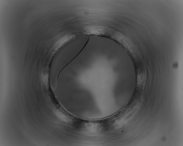 X0000102350444200808081158