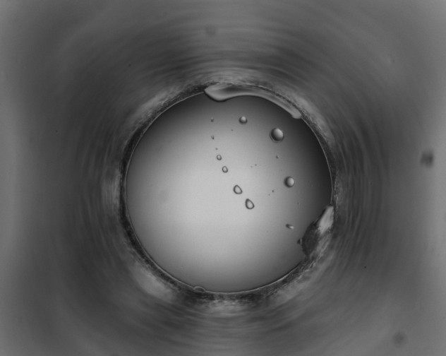 X0000102350445200808081158