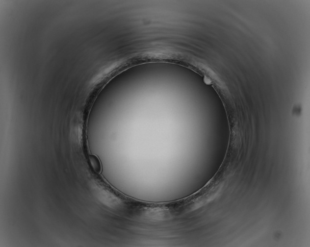 X0000102350446200808081158