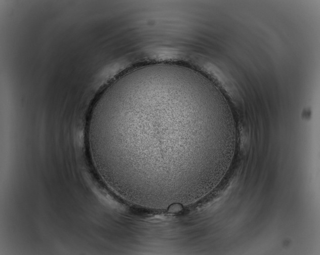 X0000102350447200808081158