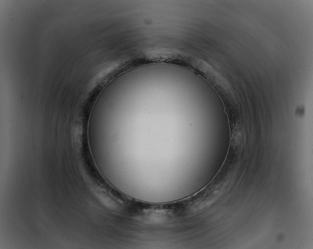 X0000102350448200808081158