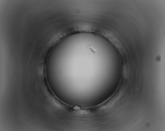 X0000102350449200808081158