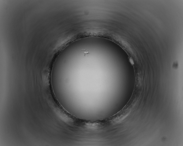 X0000102350450200808081158