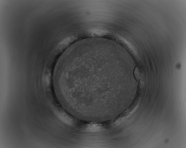 X0000102350451200808081158