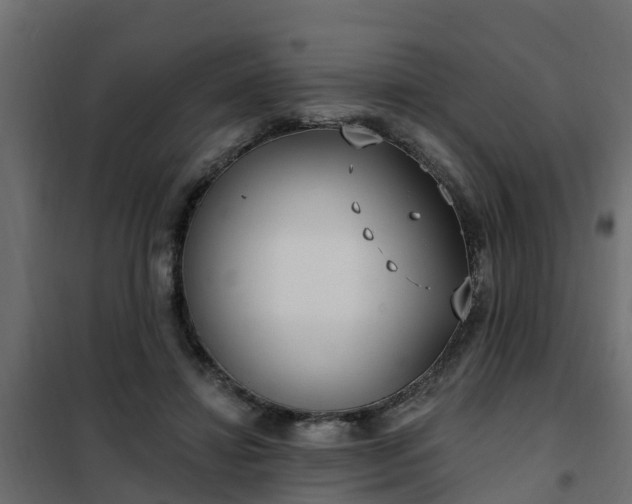 X0000102350452200808081158