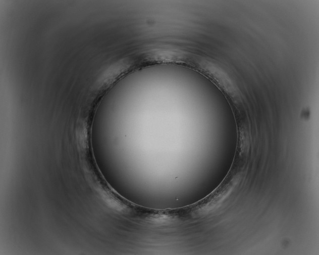 X0000102350453200808081158